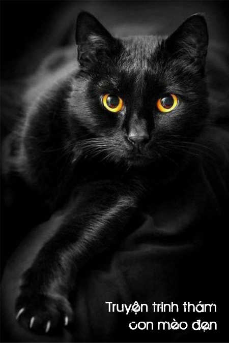 Con mèo đen - truyện trinh thám