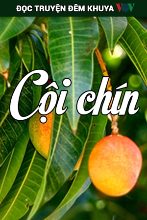 Đọc Truyện Đêm Khuya Vov