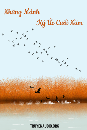 Những Mảnh Ký Ức Cuối Năm